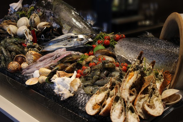 Weekend Fiesta at Marco Polo Ortigas Manila.jpg