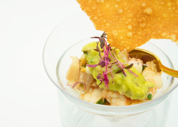Ponzu Pinakurat Kilawin with Wasabi Avocado and Gyoza Crisp.jpg