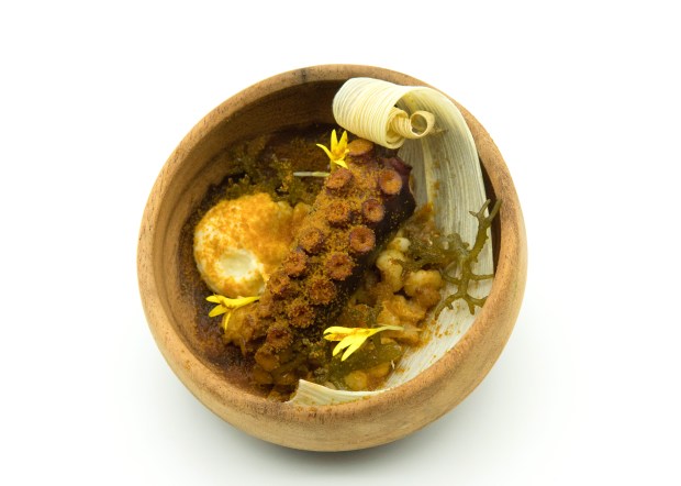 PUGITA, kulma, cauliflower puree, pumpkin bagoong, mais _ Vigan longganisa salsa.jpg